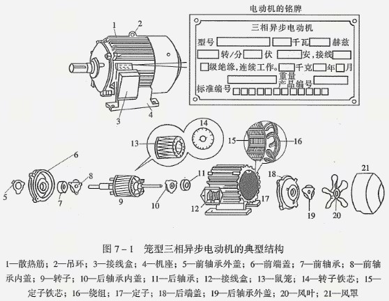 籠型三相異步電動(dòng)機(jī)的典型結(jié)構(gòu)